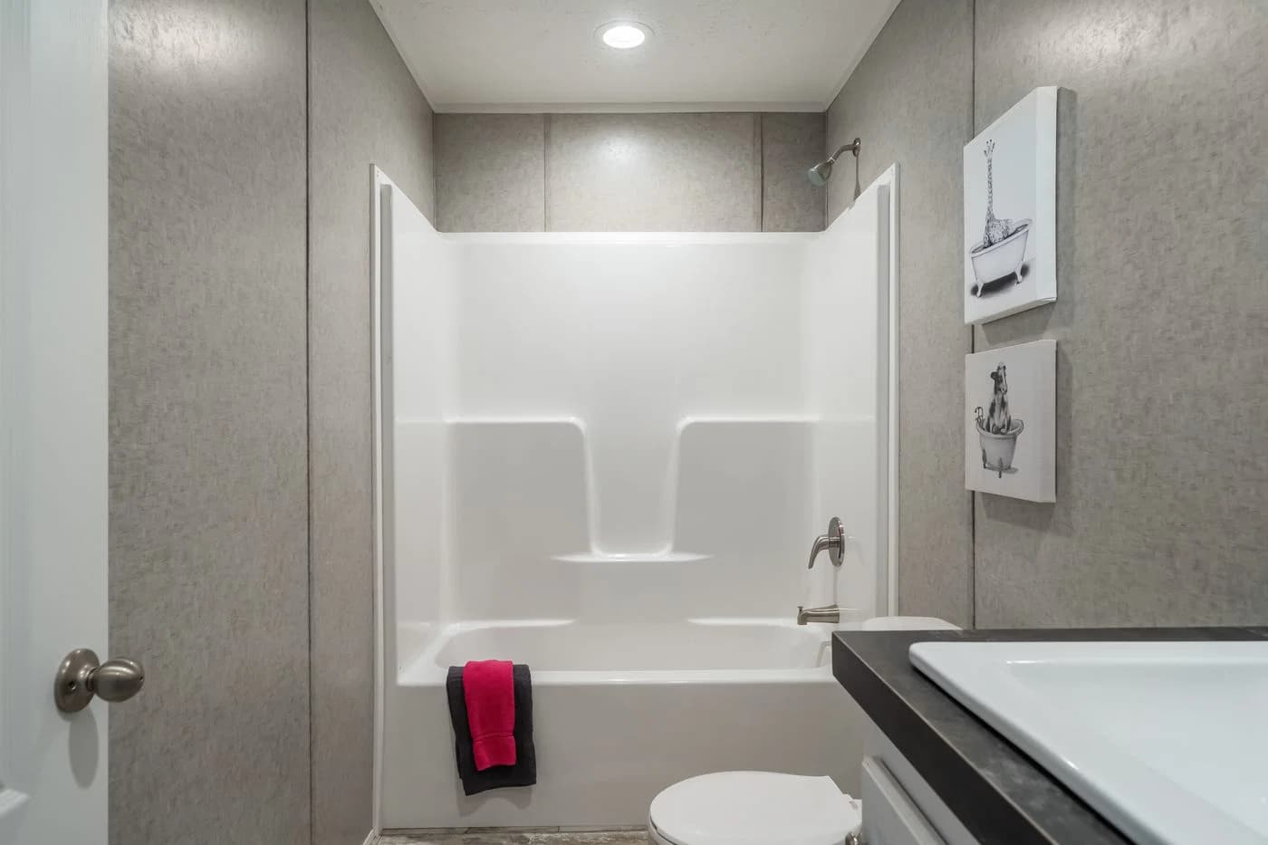 Benjamin bathroom home features